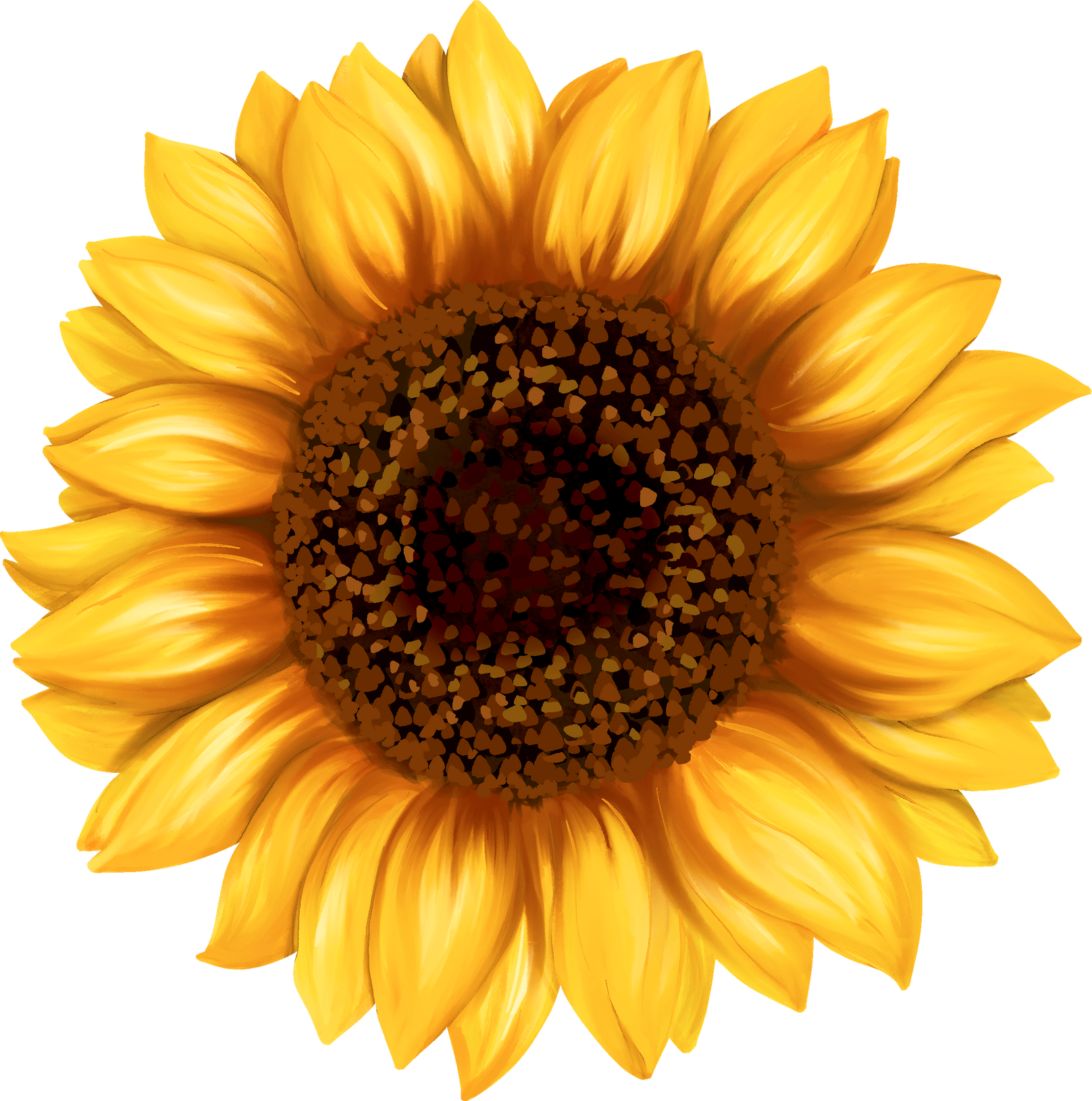 Watercolor Sunflower Illustration